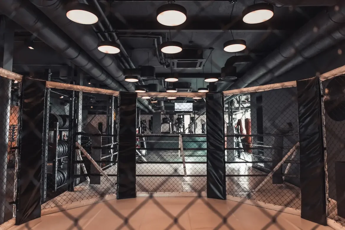 cage de mma prix